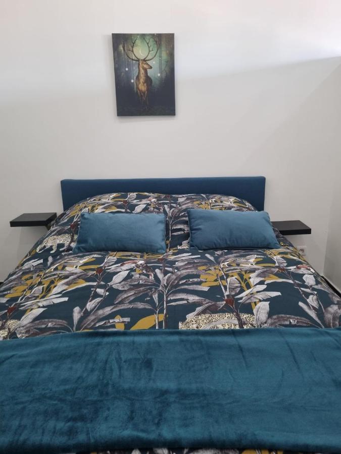 Les Mirabelles Apartment Мец Екстериор снимка